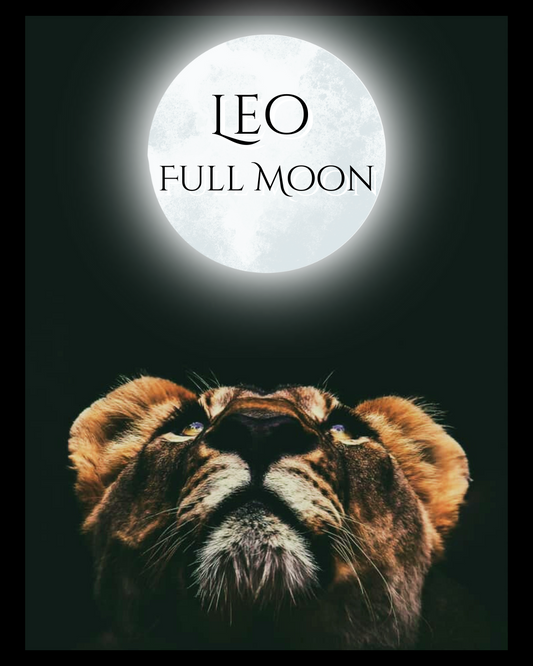 The New Moon in Leo