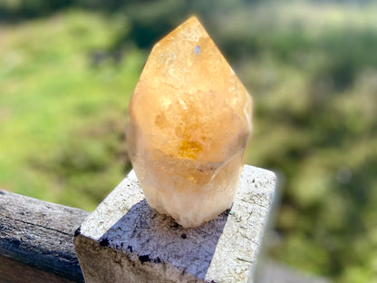 Citrine Cut Base Polished Point Generator