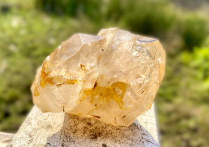 Lemurian Golden Healer Fenster Quartz with Enhydro | Self-Healed Elestial Tip • Pure Light • High Vibrational | 351 g