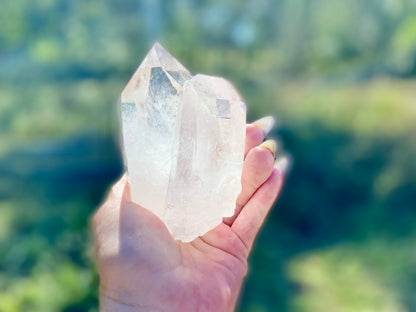 Pleiadian Starbrary Lemurian Seed Time Keeper Tantric Twin with Rainbows AAA Grade 581 Grams