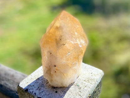 Citrine Cut Base Polished Point Generator