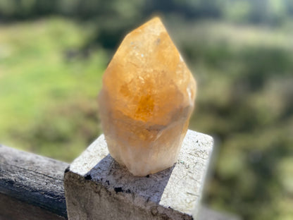 Citrine Cut Base Polished Point Generator