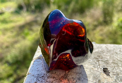 Rare Red Fire Baltic Amber with Ancient Organic Inclusions: Collector's Gem