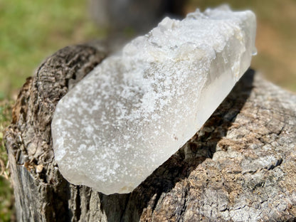 Lemurian Seed Quartz Crystal | Ancient Wisdom | Record Keepers |Phantasmagoric Rainbows | 1.528 kg