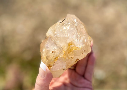 Lemurian Golden Healer Fenster Quartz with Enhydro | Self-Healed Elestial Tip • Pure Light • High Vibrational | 351 g