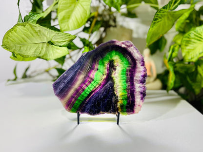 Rainbow Fluorite Crystal Rainbow Fluorite Slab | Intuition + Clarity + Balance | Third Eye Chakra |1084 Grams