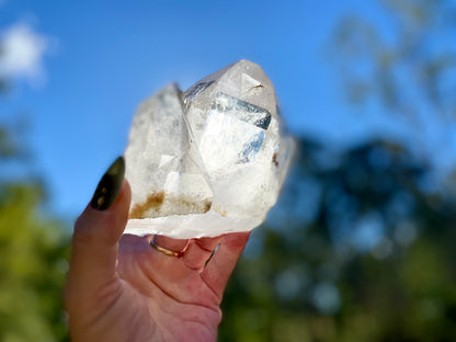 Pleiadian Starbrary Lemurian Seed Time Keeper Tantric Twin with Rainbows AAA Grade 581 Grams