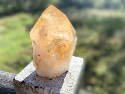 Citrine Cut Base Polished Point Generator