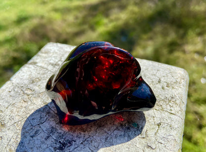 Rare Red Fire Baltic Amber with Ancient Organic Inclusions: Collector's Gem