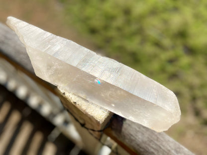 Lemurian Seed Quartz Crystal | Ancient Wisdom | Record Keepers |Phantasmagoric Rainbows | 1.528 kg