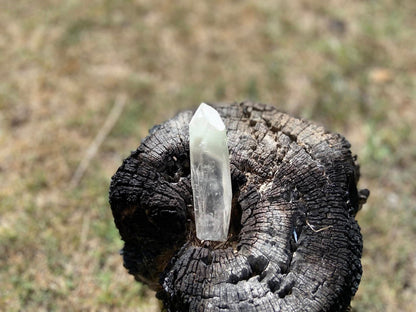 Shamanic Phantom Dream Lemurian Quartz