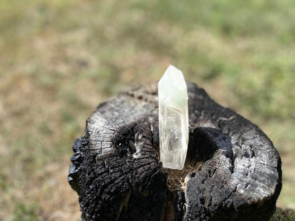 Shamanic Phantom Dream Lemurian Quartz