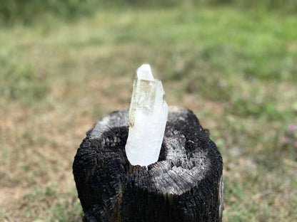 Cathedral Lemurian Seed Quartz with Pleiadian Starbrary