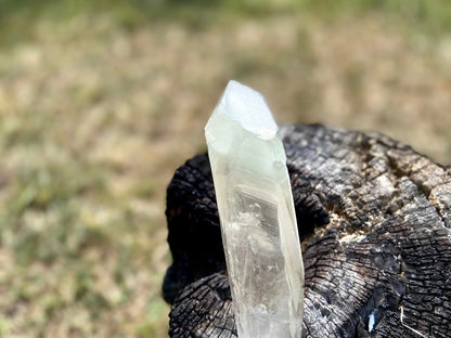 Shamanic Phantom Dream Lemurian Quartz