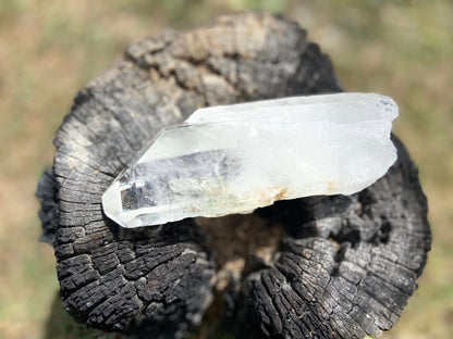 Cathedral Lemurian Seed Quartz with Pleiadian Starbrary