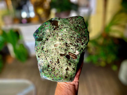 Stunning Gigantic Australian Andamooka Treated Opal Slab