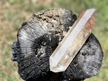 Lodolite Lemurian Inclusion Quartz Double Terminated