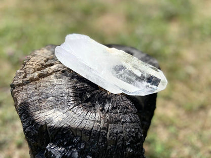 Cathedral Lemurian Seed Quartz with Pleiadian Starbrary