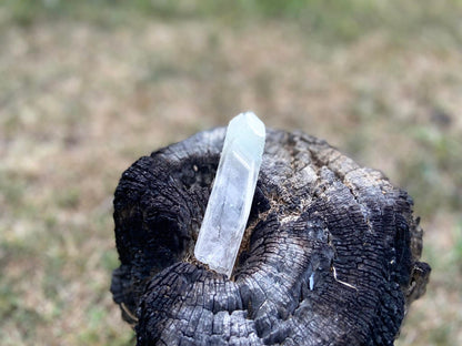 Shamanic Phantom Dream Lemurian Quartz