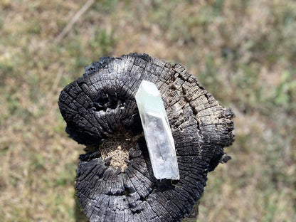 Shamanic Phantom Dream Lemurian Quartz
