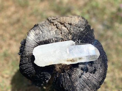 Cathedral Lemurian Seed Quartz with Pleiadian Starbrary