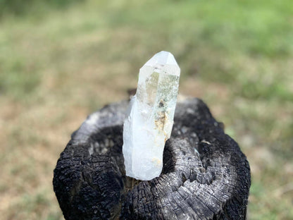 Cathedral Lemurian Seed Quartz with Pleiadian Starbrary