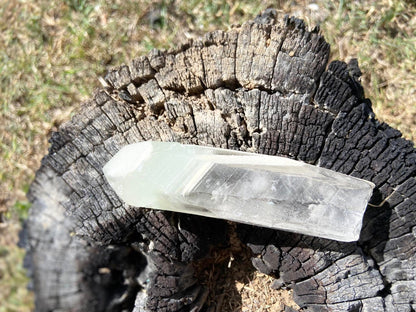 Shamanic Phantom Dream Lemurian Quartz