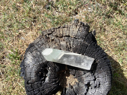 Shamanic Phantom Dream Lemurian Quartz