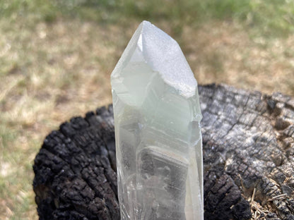 Shamanic Phantom Dream Lemurian Quartz