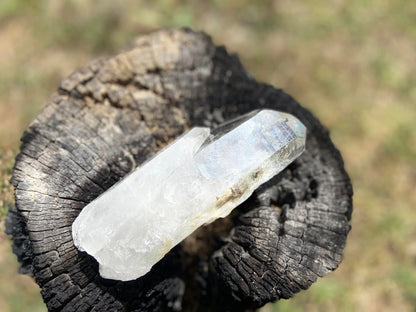 Cathedral Lemurian Seed Quartz with Pleiadian Starbrary