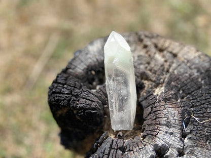 Shamanic Phantom Dream Lemurian Quartz