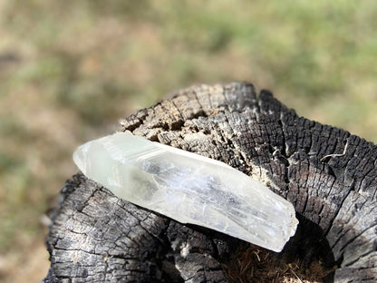 Shamanic Phantom Dream Lemurian Quartz
