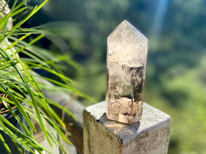 Smokey Quartz Zebra Generator