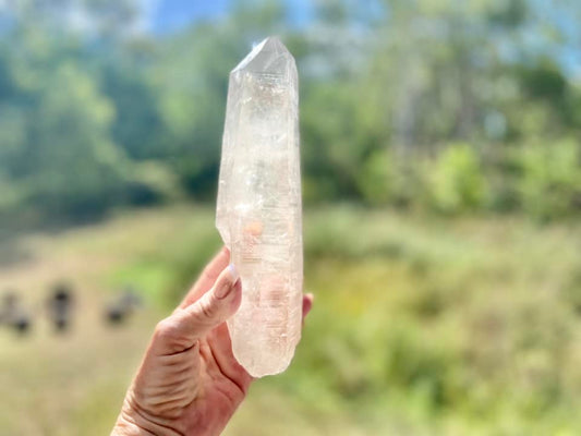 Lemurian Seed Quartz Imprint Channeler Natural Point