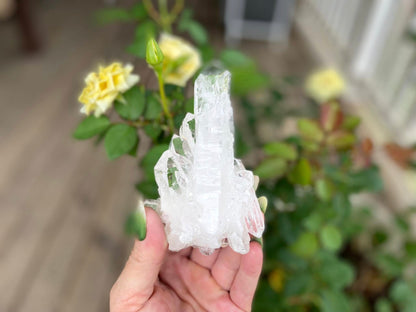 ET Lemurian Seed Quartz Channeler Scepter AAA Grade