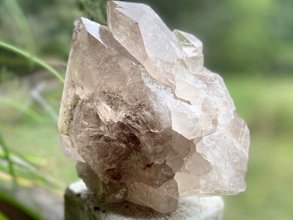 Smokey Citrine Lemurian Seed Quartz Standing Phantom Dolphin Cluster
