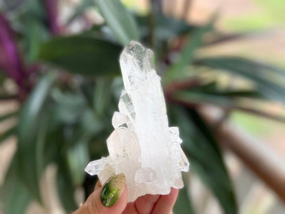 ET Lemurian Seed Quartz Channeler Scepter AAA Grade
