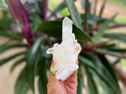 ET Lemurian Seed Quartz Channeler Scepter AAA Grade