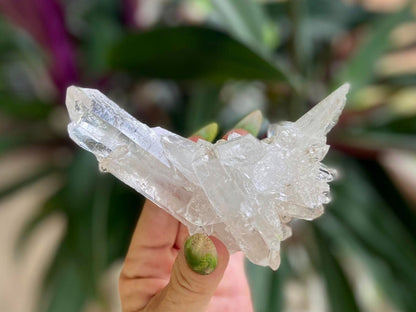 ET Lemurian Seed Quartz Channeler Scepter AAA Grade