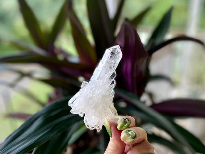 ET Lemurian Seed Quartz Channeler Scepter AAA Grade