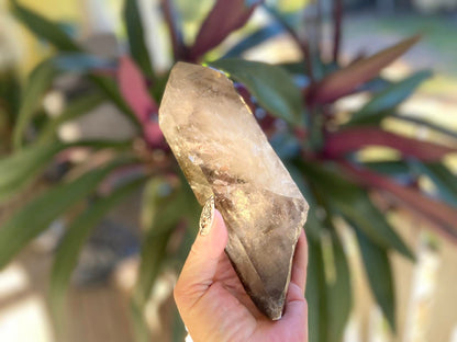 Left Time Link Elestial Smokey Citrine Quartz Lemurian Seed With Pleiadian Starbrary and Diamond Window