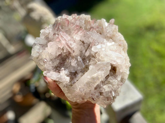 Sacred Rose Pink Lithium Lemurian Seed Colombian Quartz Cluster