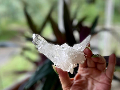 ET Lemurian Seed Quartz Channeler Scepter AAA Grade