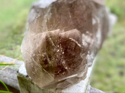 Smokey Citrine Lemurian Seed Quartz Standing Phantom Dolphin Cluster