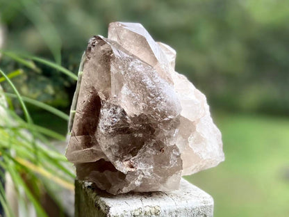 Smokey Citrine Lemurian Seed Quartz Standing Phantom Dolphin Cluster