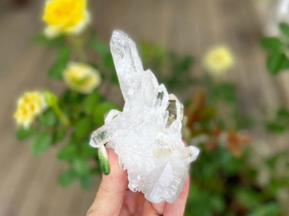 ET Lemurian Seed Quartz Channeler Scepter AAA Grade