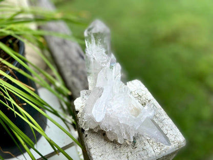ET Lemurian Seed Quartz Channeler Scepter AAA Grade