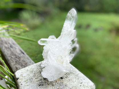 ET Lemurian Seed Quartz Channeler Scepter AAA Grade