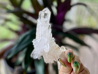 ET Lemurian Seed Quartz Channeler Scepter AAA Grade