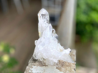 ET Lemurian Seed Quartz Channeler Scepter AAA Grade